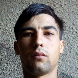 Vasile, �������, 31 ���