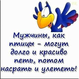 , , 46 