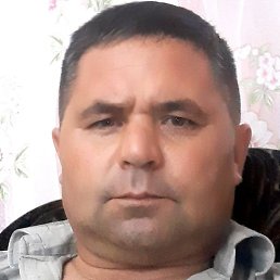 , , 53 