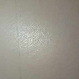 �����, ������, 36 ���