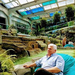 ����, �������, 51 ���