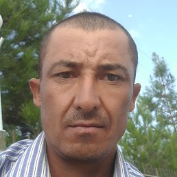 ����, �������, 45 ���