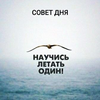   - 9  2023  22:43