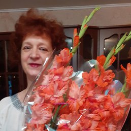 ���� �����, ���������, 54 ���� - ��������� 1 ������� 2023