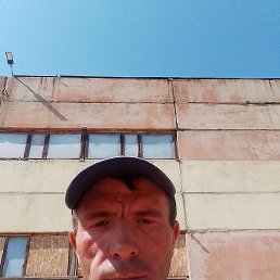 Dorin, �������, 37 ���