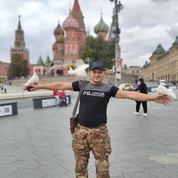 �����, �������, 46 ���