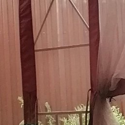 ������, ������, 38 ���