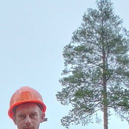 �����, ������, 36 ���