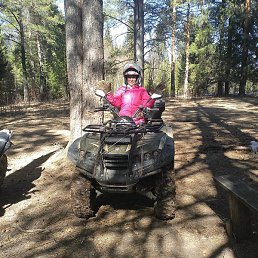 �������, ������, 43 ����