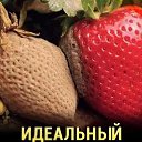  , , 36  -  11  2023    