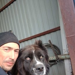 ������, ��������, 37 ���