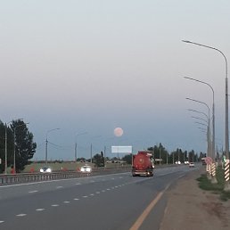 ���� �����, ���������, 38 ��� - ��������� 6 ���� 2023