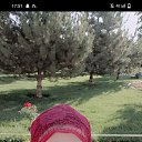 ���� Umida, �����, 54 ���� - ��������� 3 ���� 2023