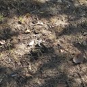 ���� ��� ���, ����, 36 ��� - ��������� 30 �������� 2023 � ������ ������ ��������