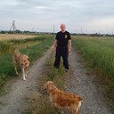  El Medico (),  -  24  2023