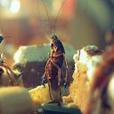 ���� �����, �������, 43 ���� - ��������� 23 ������ 2023 � ������ ���� ����������