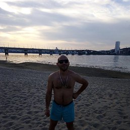 ����, �������, 36 ���