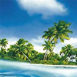 ����, �������, 45 ���