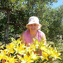 ������, ���������, 70 ���