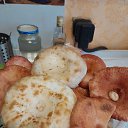 ���� �����, �����-���������, 66 ��� - ��������� 1 �������� 2023