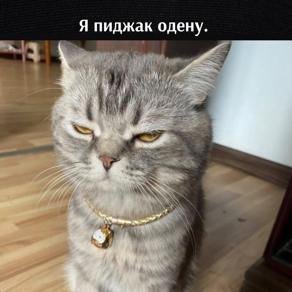       - 29  2023  12:35 - 2