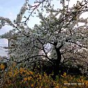 ���� ������� �� ��������, �����, 67 ��� - ��������� 29 ������ 2023 � ������ ���� ����������