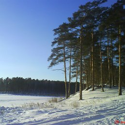 ��������, ���������, 48 ���