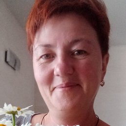 , , 43 