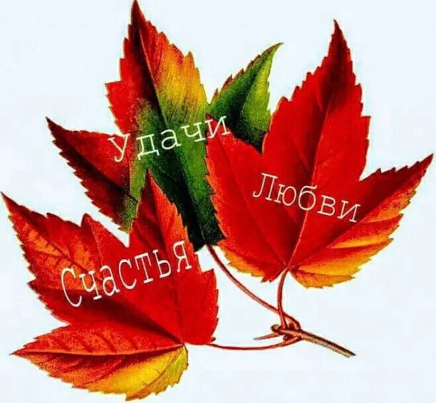    ,     .       ! #