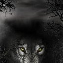 ���� ������, �����������, 42 ���� - ��������� 2 �������� 2023 � ������ ���� ����������