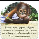 ���� ����� ������ ����, ������, 46 ��� - ��������� 18 ���� 2023 � ������ ���� ����������