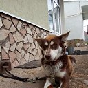  Vladimir,  -  24  2023    