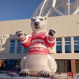 ����, ������, 36 ���