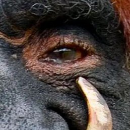 Aa, ����, 35 ���