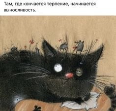   - 29  2023  11:19