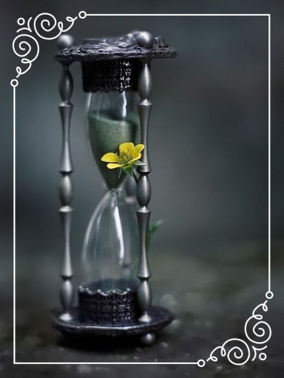   !  : - , -  , -    , - ...