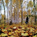 ���� �����, ������, 59 ��� - ��������� 10 ������� 2023 � ������ ������ ��������