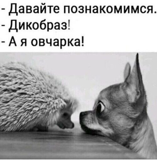   ! - 16  2023  15:47