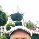 ���� ������, ���������, 55 ��� - ��������� 4 ���� 2023