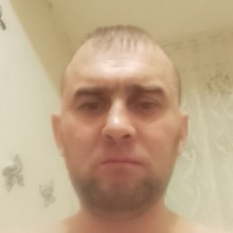 ����, ���������, 41 ���