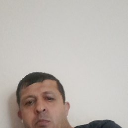 ���� �����, �����������, 46 ��� - ��������� 14 ������� 2023