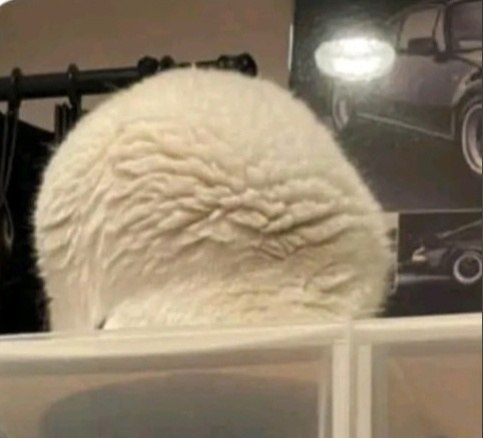  )