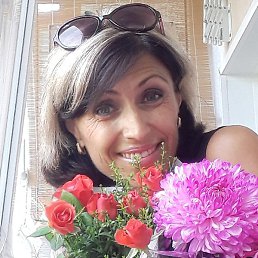 �����, ��������, 58 ���