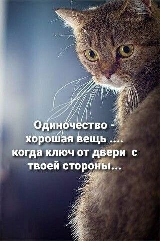   - 23  2023  10:48