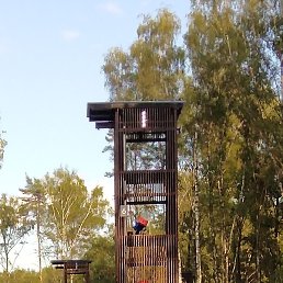 �����, ������, 41 ���