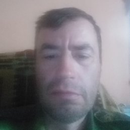 �����, ������, 48 ���