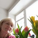 ���� ���, ������, 62 ���� - ��������� 24 ��� 2023 � ������ ���� ����������