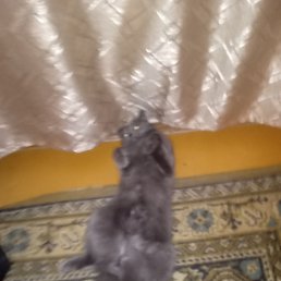 ���� ������ �������, ���������, 42 ���� - ��������� 26 ������� 2023