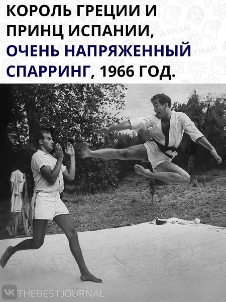 Переговоры, может, какие.Многие скажут, что фото постановочное, но это не такЭти люди родственники)