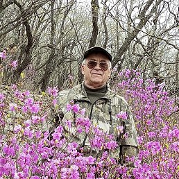 ���������, �����������, 70 ���